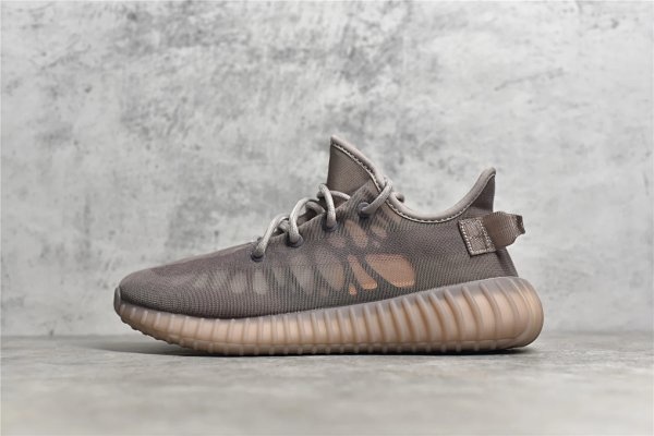 Adidas Yeezy Boost 350 V2 Brown Shoes