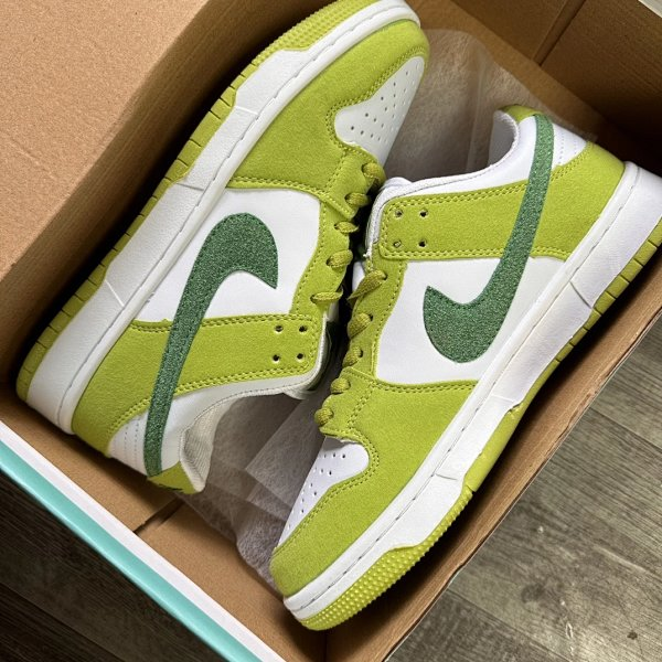 Welfare model dunk collection