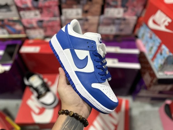 nike sb zoom dunk low